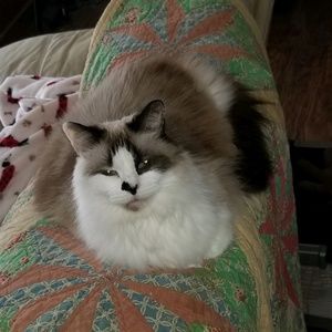 Meet your Posher, Sharon